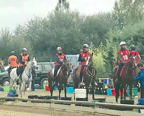 Resultados Campeonato Navarro de Raid CEI*, CET 0*, CEAP 60 y 40.